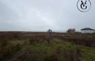 Teren 1000 mp Palazu Mare | Ideal investi?ie - Constanta (Constanta)