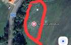 Teren de 4000 mp, în Periferie - 2