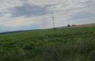 Vand teren extravilan,strada agricultorului din municipiul Slatina ,S=5150 mp deschidere 15 m - 2