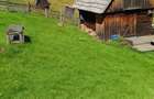 Vand teren intravilan - 7