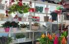Vand spatiu comercial - 1