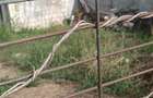 Teren intravilan de vanzare - 11