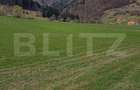 Teren intravilan, 1000 mp, zona Sud-Vest - Zarnesti