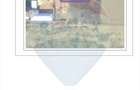Teren  intravilan  zona Fan Courier - 2