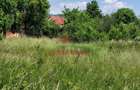 Teren intravilan in Brebu-- 3399mp--81.500e - 3
