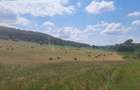 vand teren circa 20 hectare