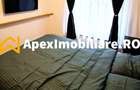 Apartament 2 camere de inchiriat Theodor Pallady Bucuresti | ApexImobi - 12