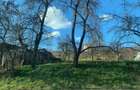 pers fiz BUCIUM str. Plopii fara Sot 9 caminul sf iosif - 1