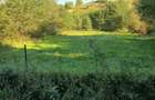 Vand teren intravilan in Beznea , Bratca - 8