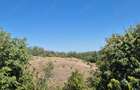 Vand teren extravilan 3 ha Livada Mare, Comuna Grebanu, jud Buzau - 3