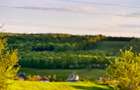 TEREN DE VANZARE 1471 m Betfia/Sanmartin /Oradea - 5