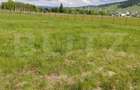 Oferta de vanzare teren, URGENT, Dorna Candrenilor - 2