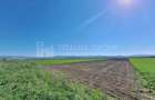 Teren extravilan, 8700 mp, pretabil agricultura sau investi?ie - Bod - 8