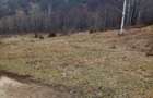 Teren de 10000 mp, în Lepșa - 3