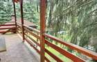 Cabana cu 9 camere de vanzare in Arie?eni - 2