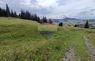 Teren 33,364mp Dorna Candrenilor / Strada Strugurel