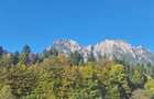 Apartament la vila in Busteni