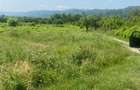 Teren de vanzare intr-o zona de vis *** - 2