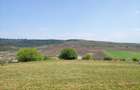 Vanzare doua terenuri 600 mp cu acte in regula Santana de Mure? (zona Unirii - Barde?ti) - 6
