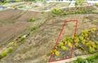 Teren 3000 mp in Snagov zona in dezvoltare, aproape de padure
