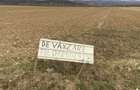 Teren intravilan Vadu Crisului 2738 mp, asfalt, doua intrari - 3