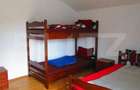 Cabana de vanzare, 8 camere,teren 1500 mp, zona Colibi?a-Ma - 4