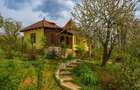 Provita de Sus, Prahova, casa renovata, comision 0 % - 5