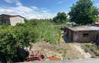 Vila de vis cu gradina - 1