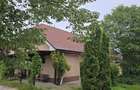 Proprietate Beharca teren 38464mp - 8