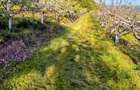 Teren de vanzare Suici, Arges
