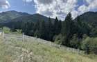 Teren intravilan deosebit, 572 mp, langa padure POT 40% Ideal rezidential, Strada Morii , Mun. Sacele - 3