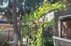 Vanzare Casa Prelungirea Ghencea - Dr. Taberei (intersectie cu strada Brasov) - 2