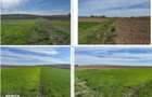 Teren extravilan cota parte 1/4, Corni, ID: R3128955