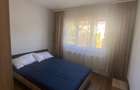 Apartament 2 camere de inchiriat aluminei - 6