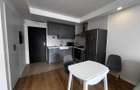 Apartament tip studio de inchiriat in Cosmopolis - 2