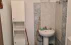 P.F. Dau in chirie spatiu comercial in cetate Alba Iulia - 1
