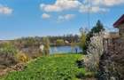 Teren intravilan de vânzare – Snagov, Strada Baicoianu | Deschidere la lac - 4