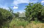 Teren de 11.000 mp cu casa ?i teren agricol | La 40 km de Bucure?ti | - 4
