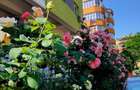 Apartament 3 camere George Enescu - 2