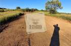 Teren intravilan 400 mp in Bungard Selimbar - 2