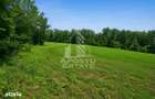 Teren agricol si pasune de 5300+3300 mp, Cuied - 2