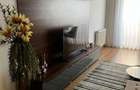 Dau in chirie apartament cu 2 camere bloc Ared - 5