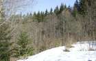 Teren situat in Predeal - 6