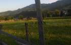 Teren intravilan 5360mp Bistrita Nasaud | Tiha Bârgăului - 8