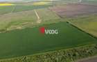 Teren extravilan 10 ha -Giarmata, langa nodul de autostrada - 4