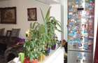 Apartament cu 3 camere decomandat în Lunei - 1