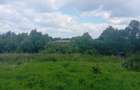 Doua terenuri cate O mie de metri patrat,parcela 1 este 20 euro M2,,,si parcela 2 ..15 euro m2 - 2