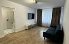 Apartament 2 camere inchiriat Titan Ozana sector 3 - 3