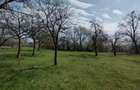 Teren de 6800 mp, în Șișești - 3