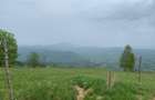 Teren extravilan 2ha, priveliste panoramica spre toti muntii - 5